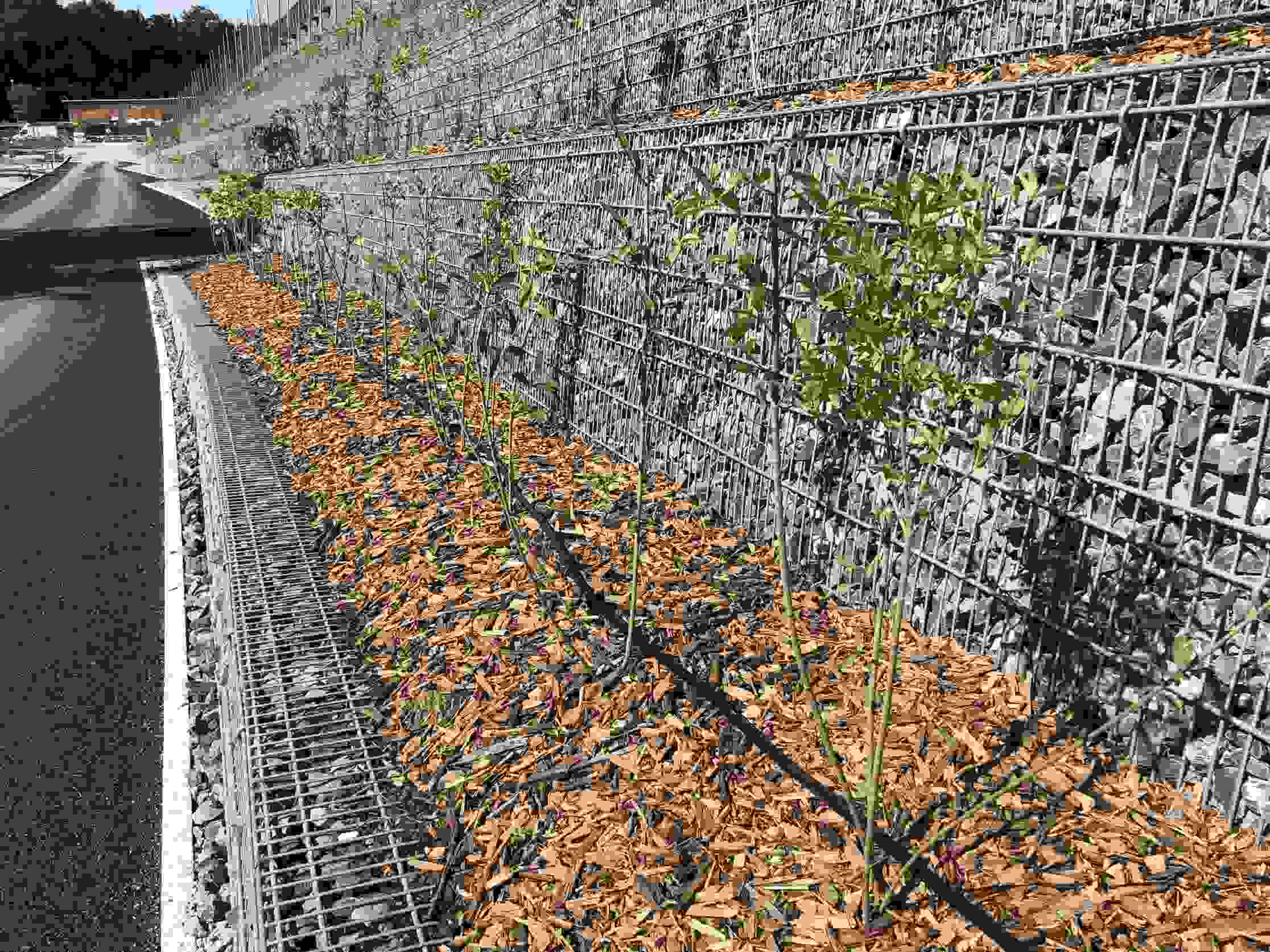 SBB Pont sur l'Arve, Camouflage am Ufer der Arve