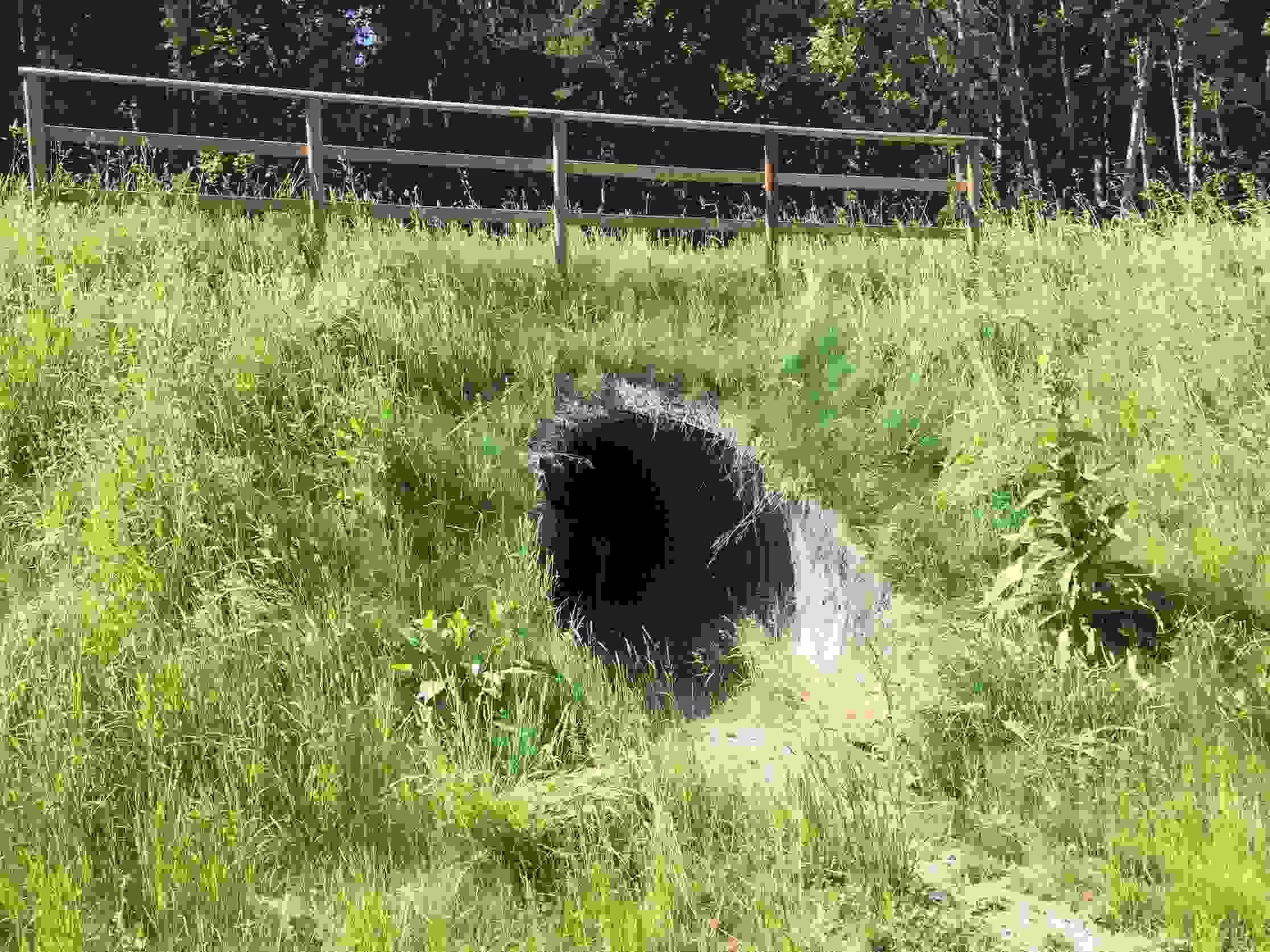 Wildtierdurchlass Kantonsstrasse Wohlen Bremgarten