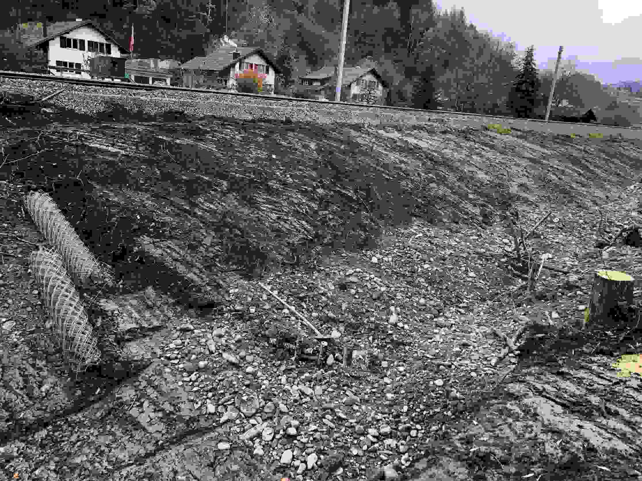 Wileringbächli Neuenegg - Biberschutz für Bahndamm