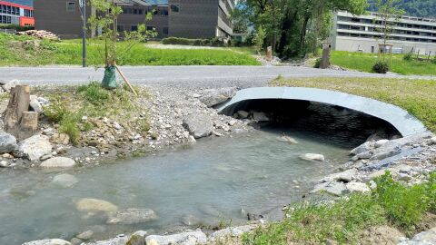 SYTEC News: Assainissement du Moosweg à Berne avec une stabilisation via des géogrilles