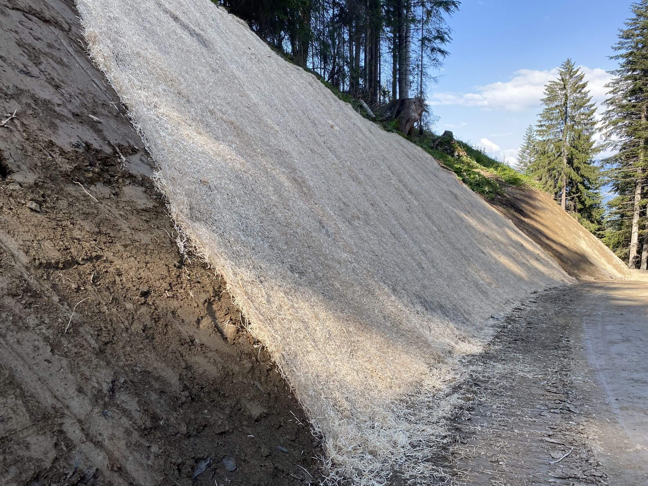 Chemin forestier zone de montagne est Domat Ems - Protection contre l'érosion Chemin forestier zone de montagne est Domat Ems - Protection contre l'érosion
