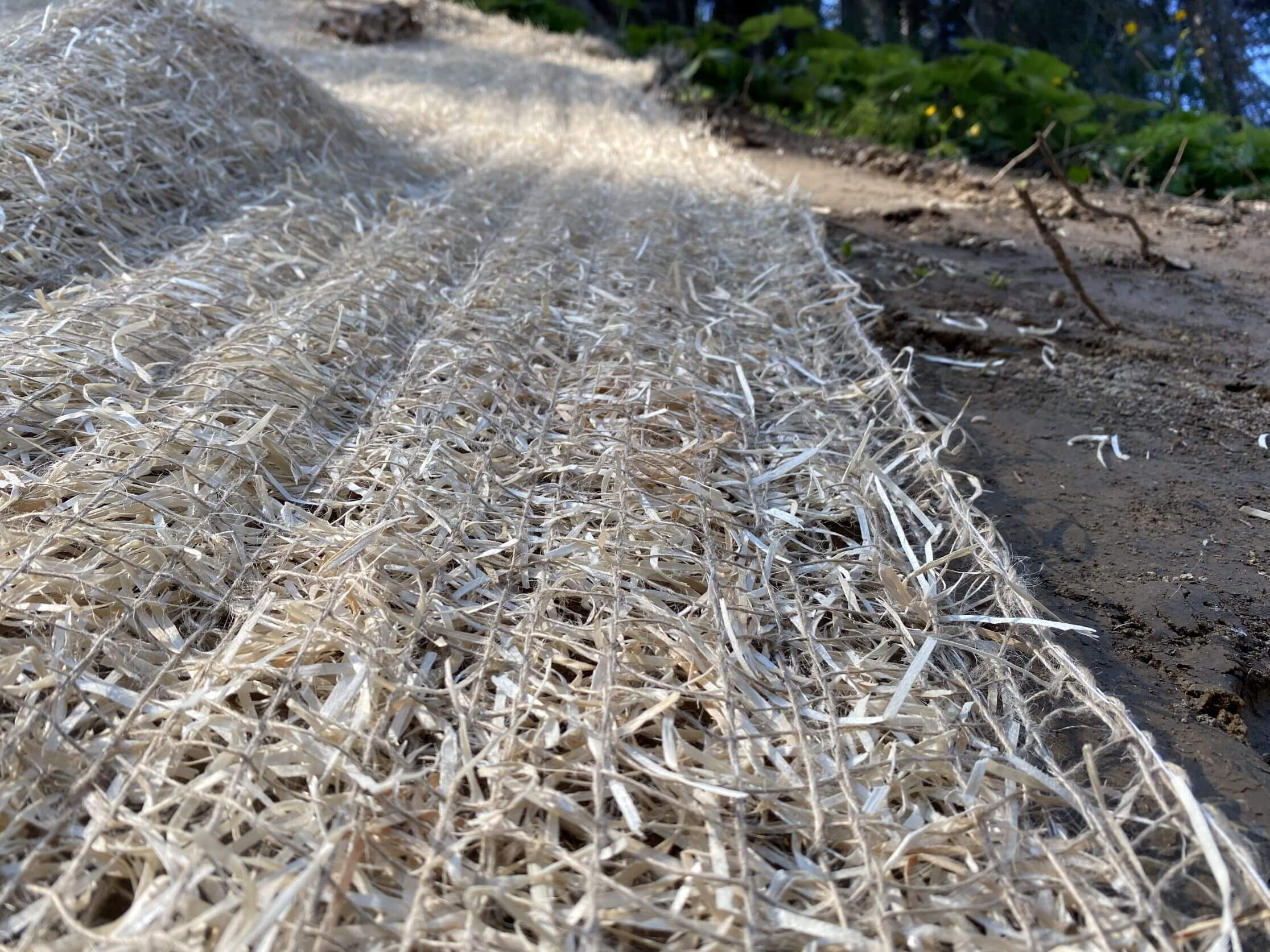 Chemin forestier zone de montagne est Domat Ems - Protection contre l'érosion Chemin forestier zone de montagne est Domat Ems - Protection contre l'érosion