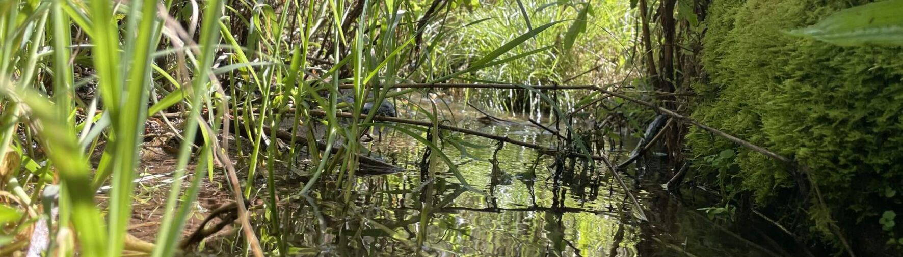 Sostenibilità Impermeabilizzazione con stuoie bentonitiche Sostenibilità Impermeabilizzazione con stuoie bentonitiche