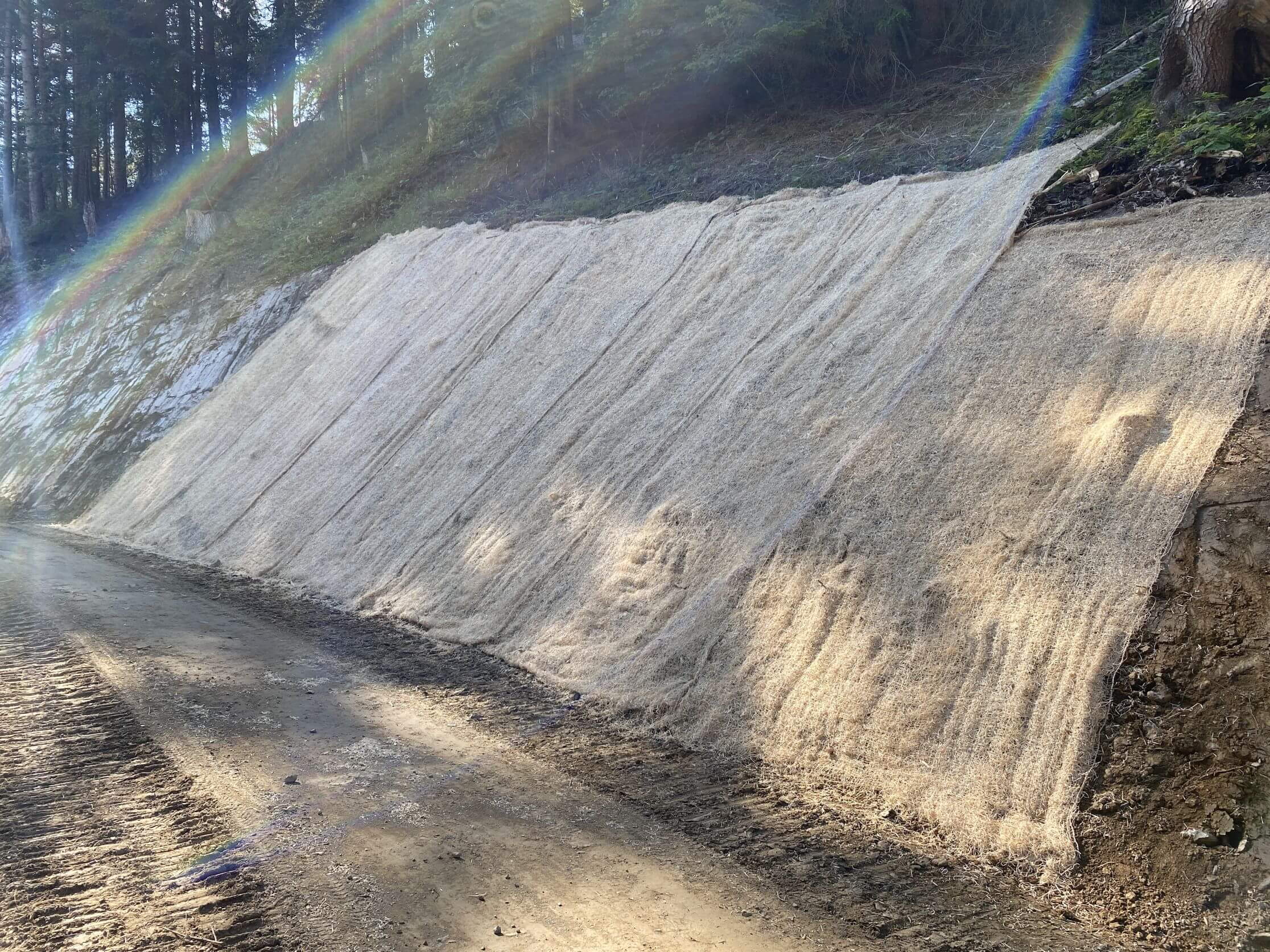 Chemin forestier zone de montagne est Domat Ems - Protection contre l'érosion Chemin forestier zone de montagne est Domat Ems - Protection contre l'érosion